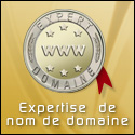 Expertise de nom de domaine