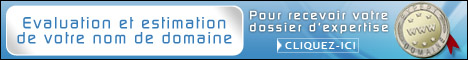 Expertise de nom de domaine