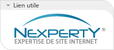 Expertise de nom de domaine